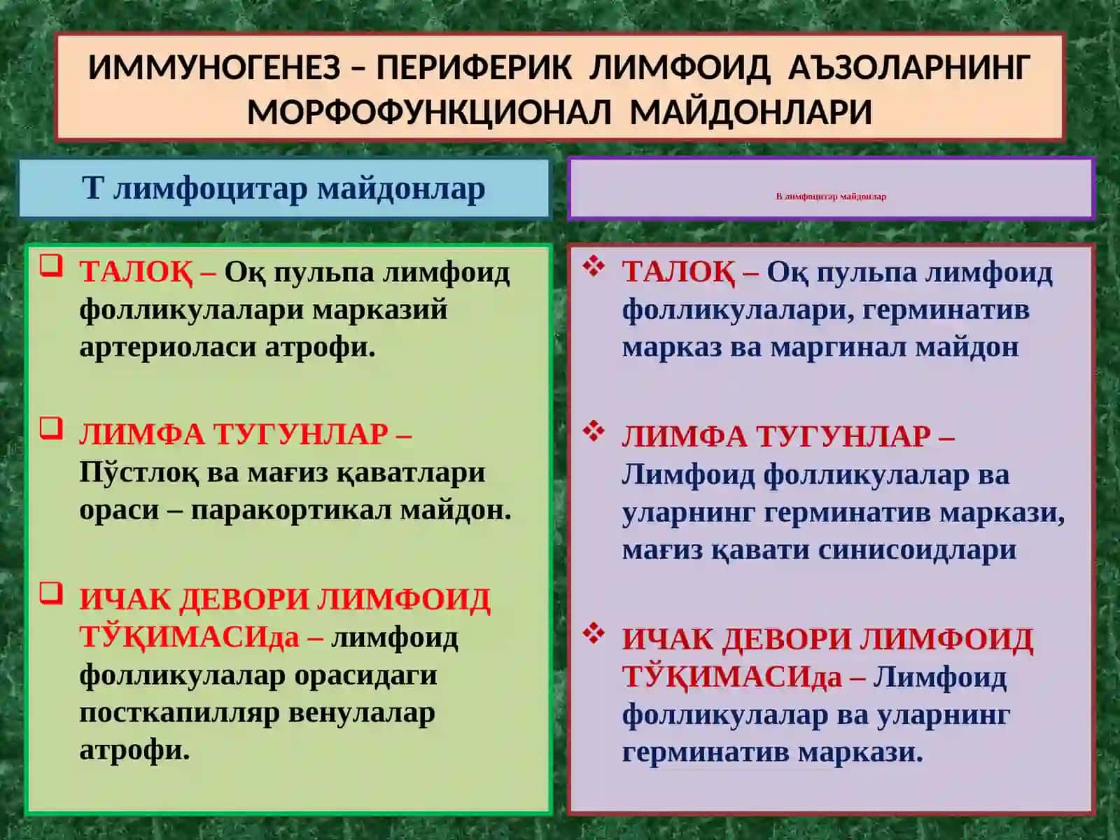 ИММУНОПАТОЛОГИК ЖАРАЁНЛАР 3