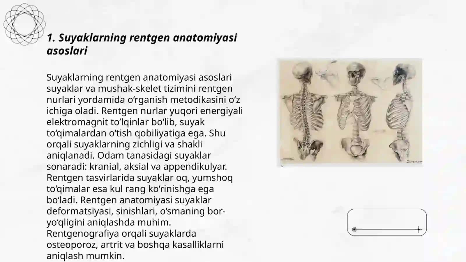 Skelet suyaklarining rentgenanatomiyasi. Skeletning rivojlanish anomaliyalari 3