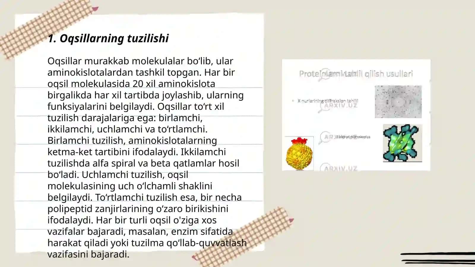 Oqsillarning klassifikatsiyasi 3