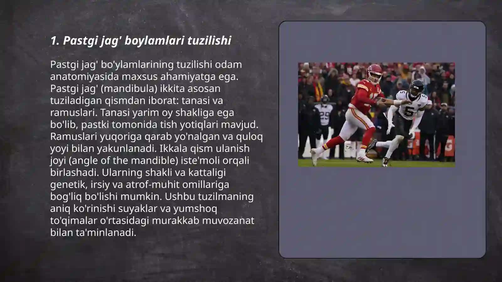 Pastgi jag' boylamlari 3