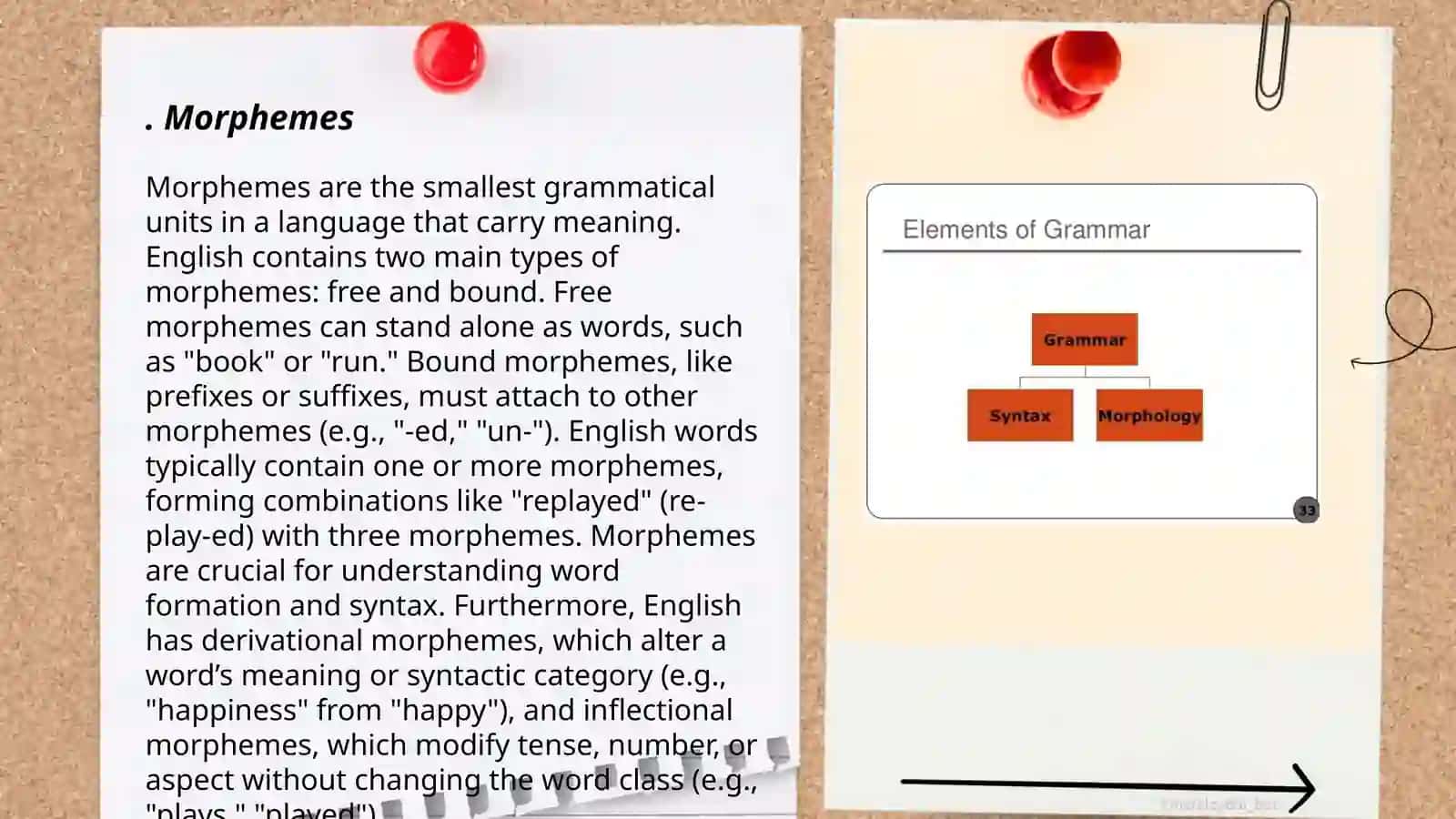 Grammar in Morphology 3