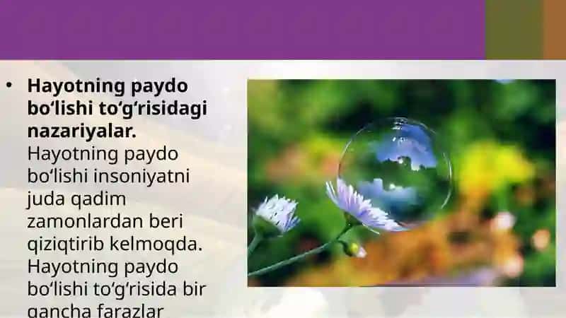 Yerda hayotning Paydo Bo'lishi 3