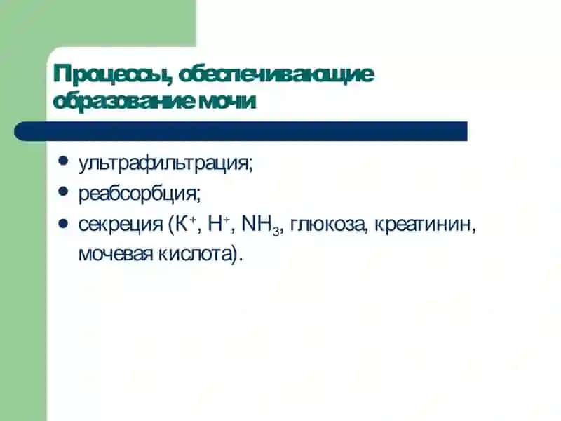 Патофизиология почек 3