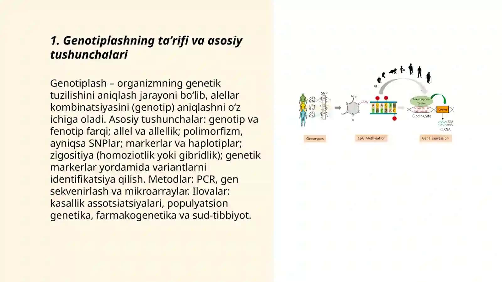 Genotiplash 3
