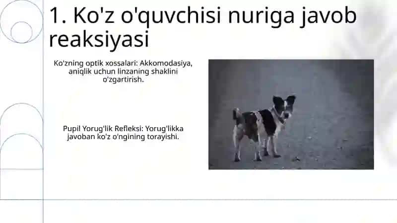 Koʻzning optik xususiyatlari 3
