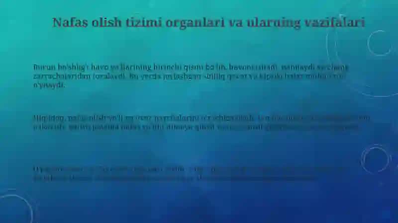 Nafas olish tizimi 3