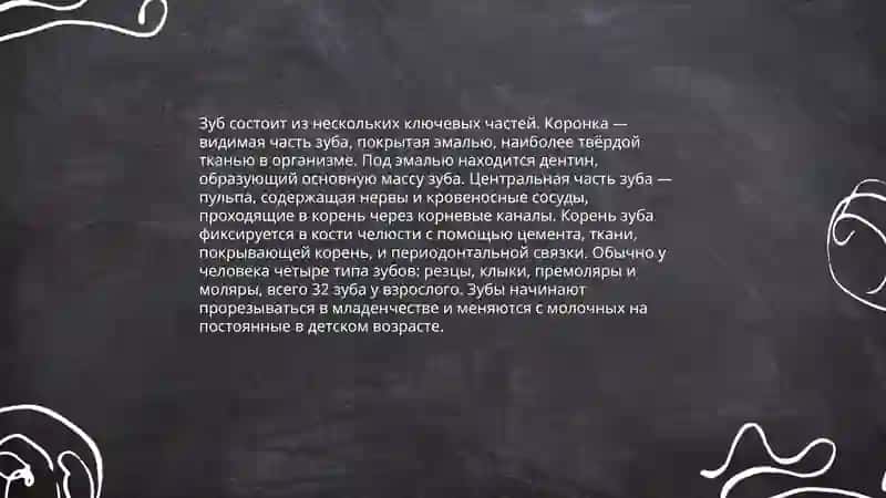 Строение Зуба 3