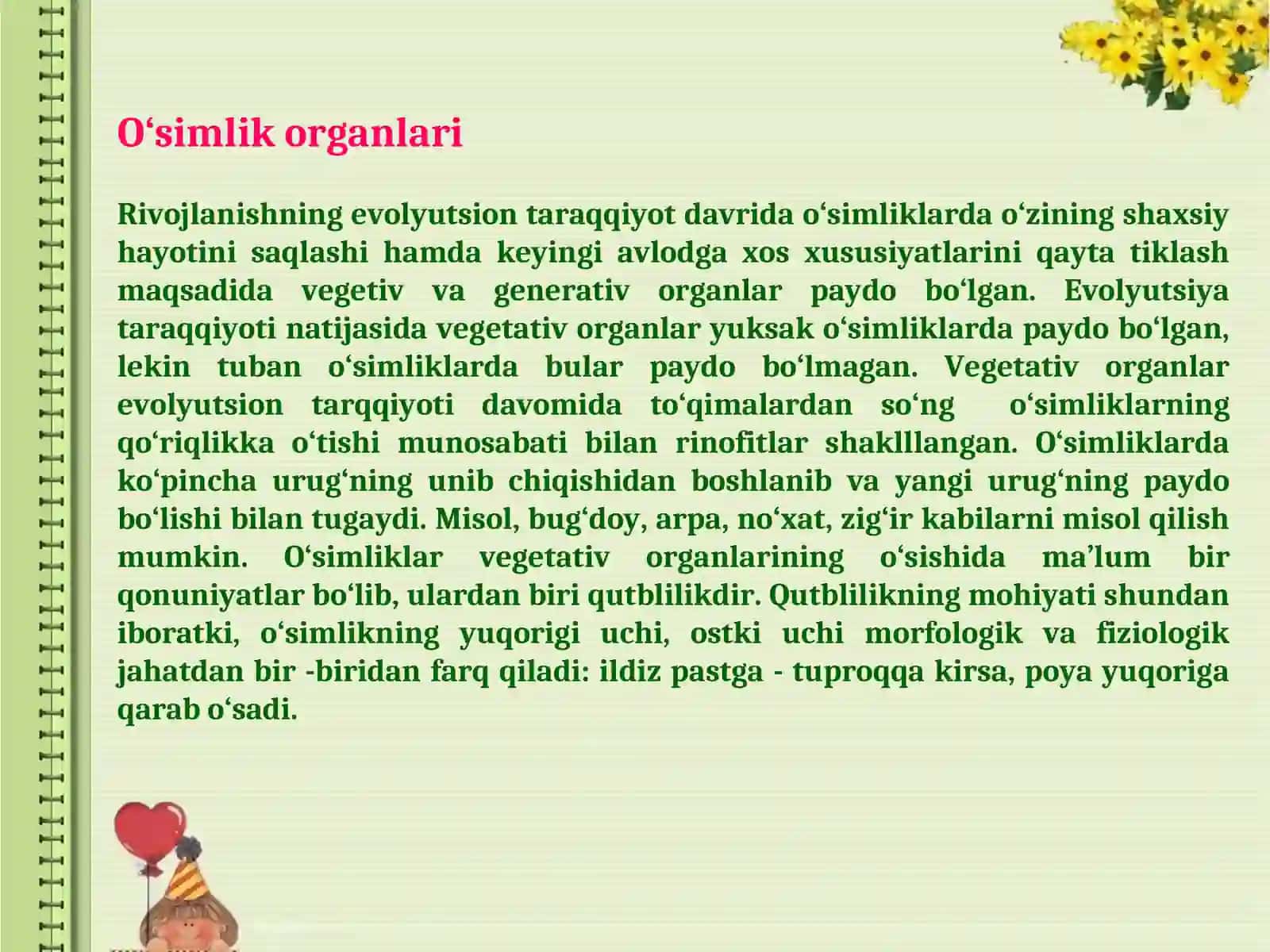 O‘simlik organlari 3
