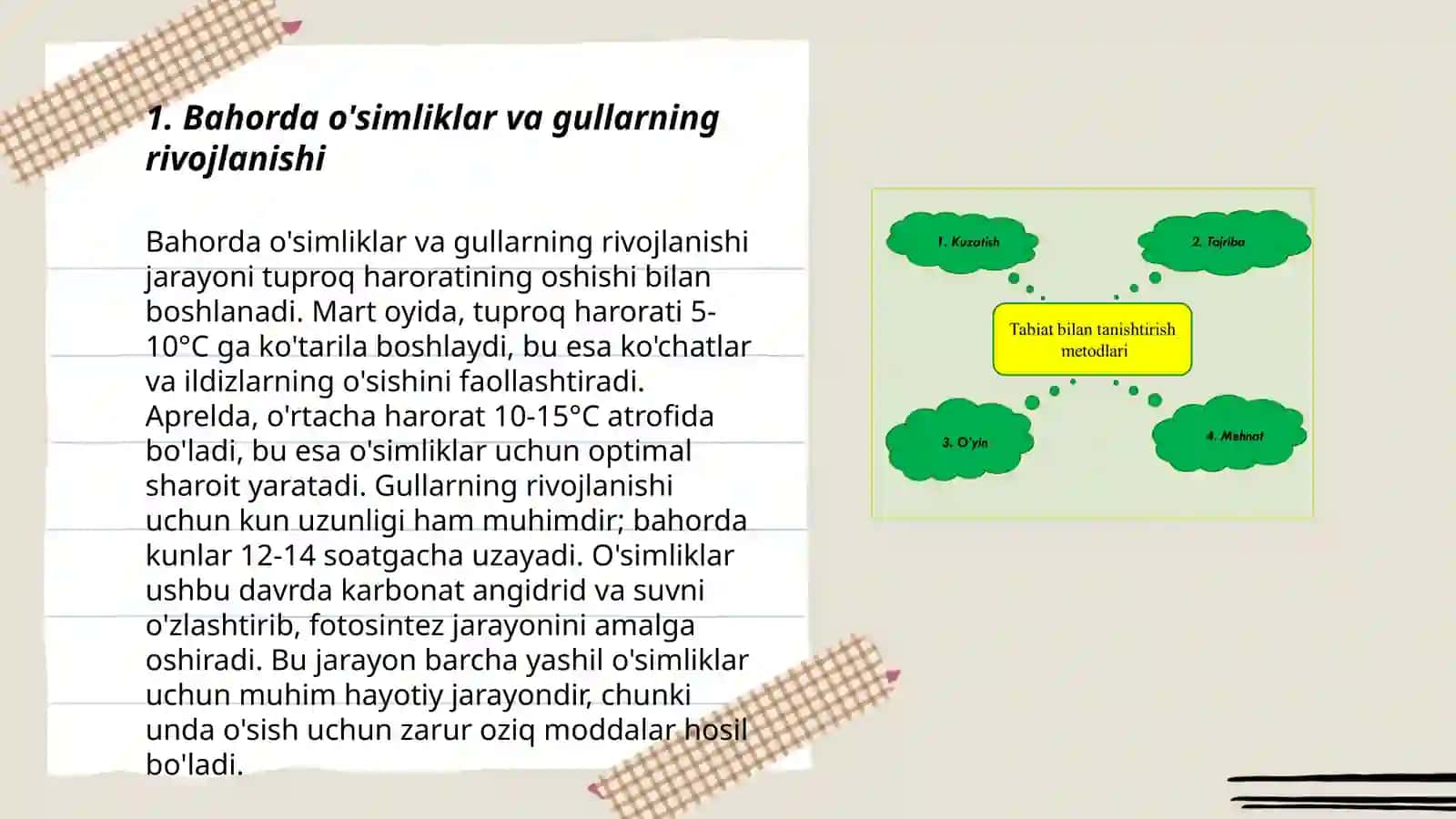 Bahorda o'simliklar va gullarning rivojlanishi 3