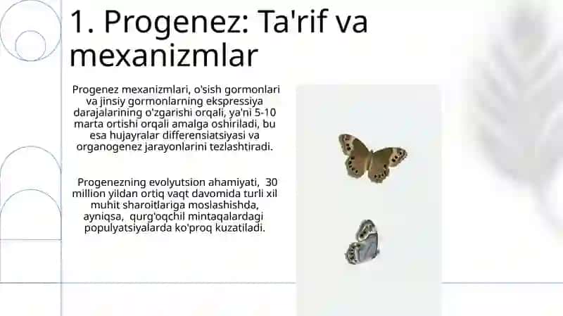 Rivojlanish biologiyasi:progenez, embriogenez 3