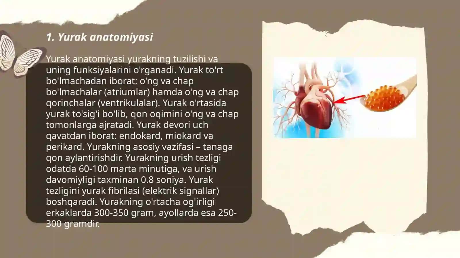 Yurak kasalliklari 3