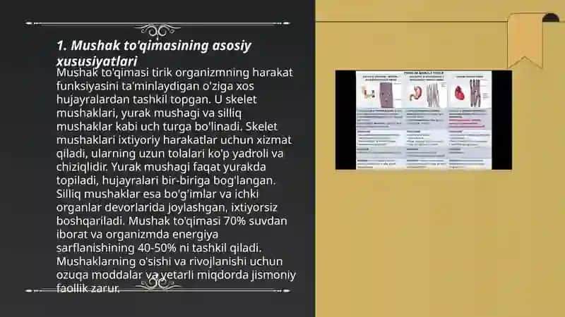 Mushak to'qimasi 3