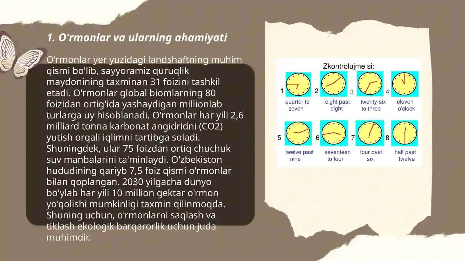 O'rmonlar va ularning ahamiyati 3