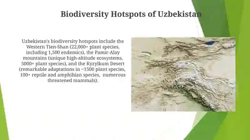 Ecology of Uzbekistan 3