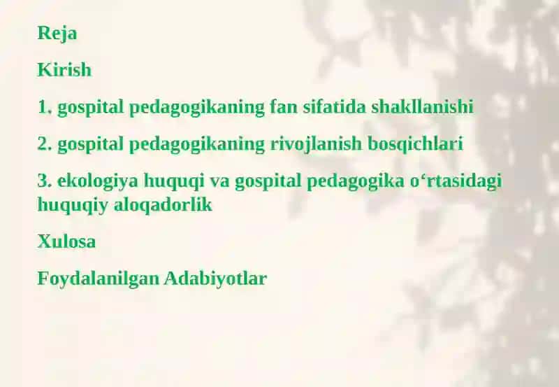 Gospitalpedagogika: fansifatidashakllanishi va rivojlanishi tarixi 3
