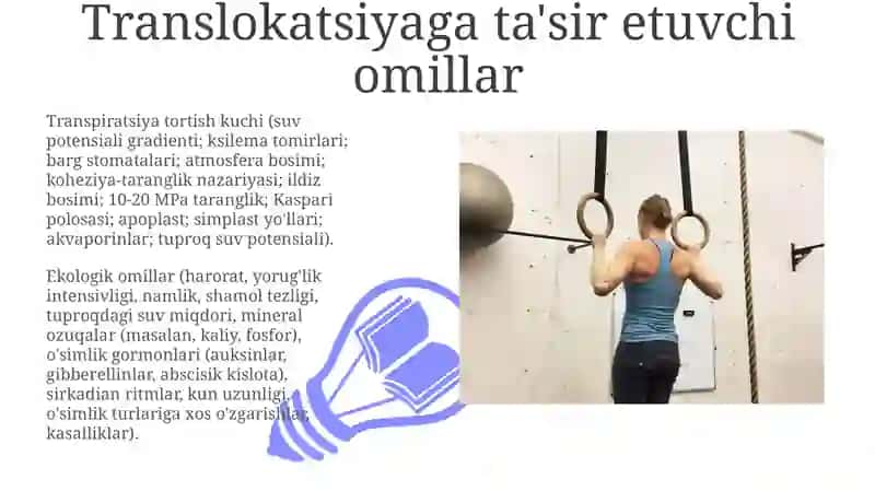 O‘simliklarda moddalarning harakati 3