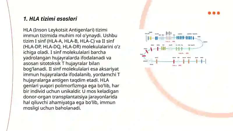 HLA-tizimi (MHC-tizimi). Komplement tizimi 3