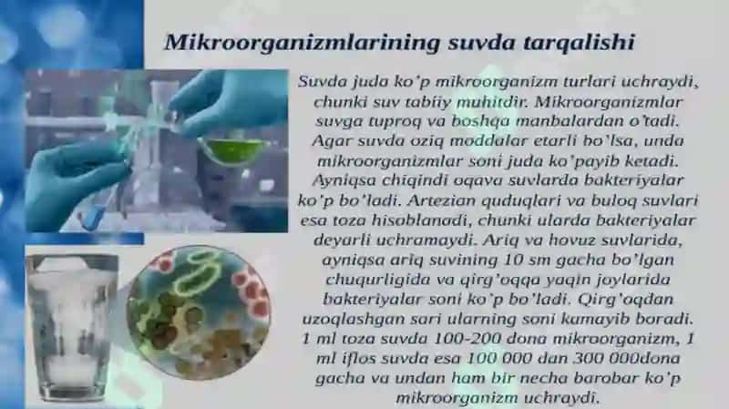 Mikroorganizmlar populyatsiyalari 3