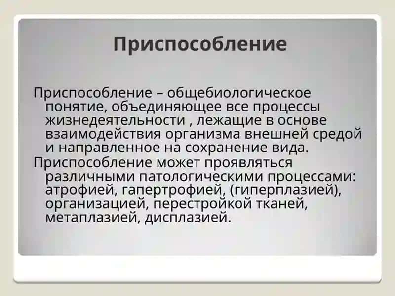 Приспособление и Компенсация 3