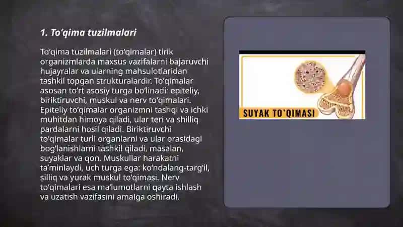 Suyak toʻqimasni tiplari 3