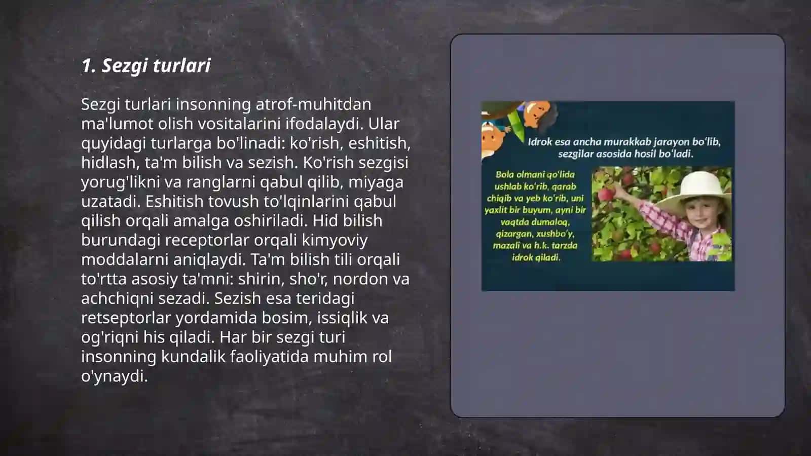 Sezgi va Idrok 3