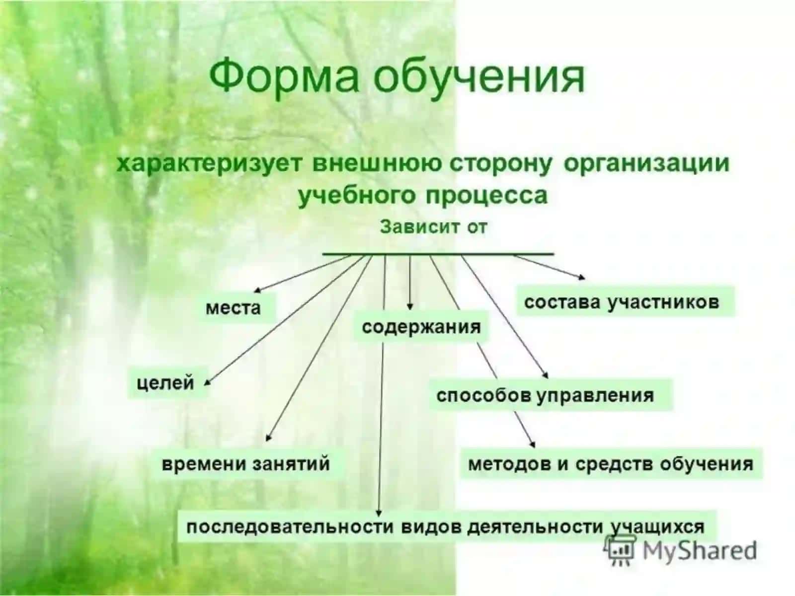 Особенности современной организации учебного процесса 3