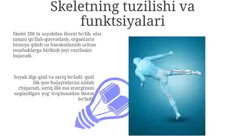 Skelet va uning bo`ylamlari haqida ma'lumot 3