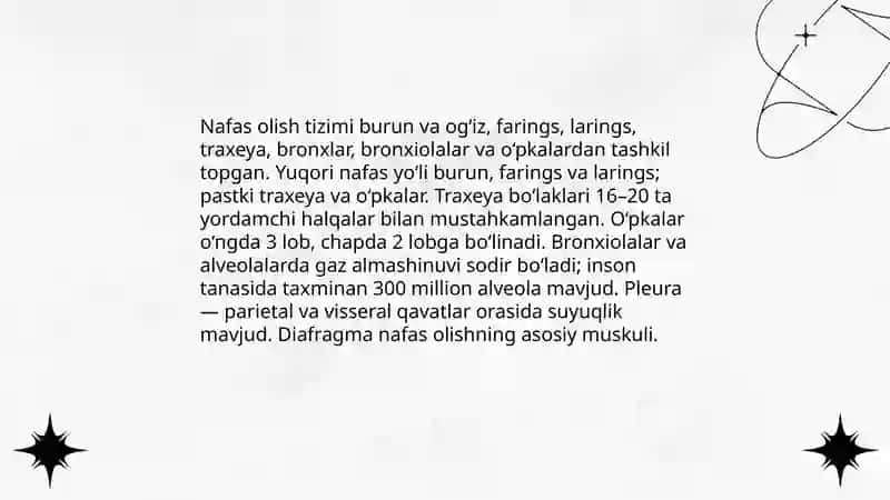 Nafas olish tizimi 3