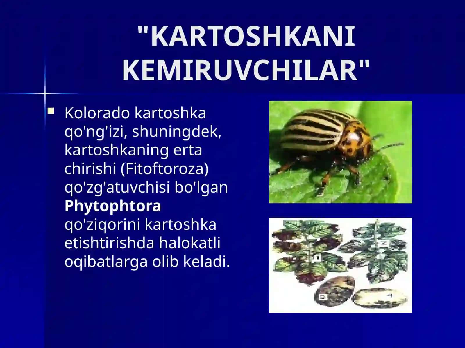 BIOTEXNOLOGIYA VA O‘SIMLIKSHUNOSLIK 3