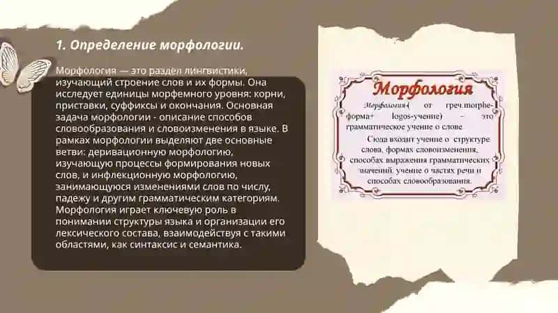 Морфология 3