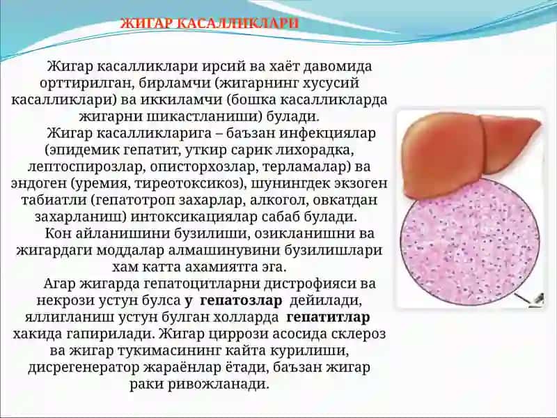 Патологик анатомия 3