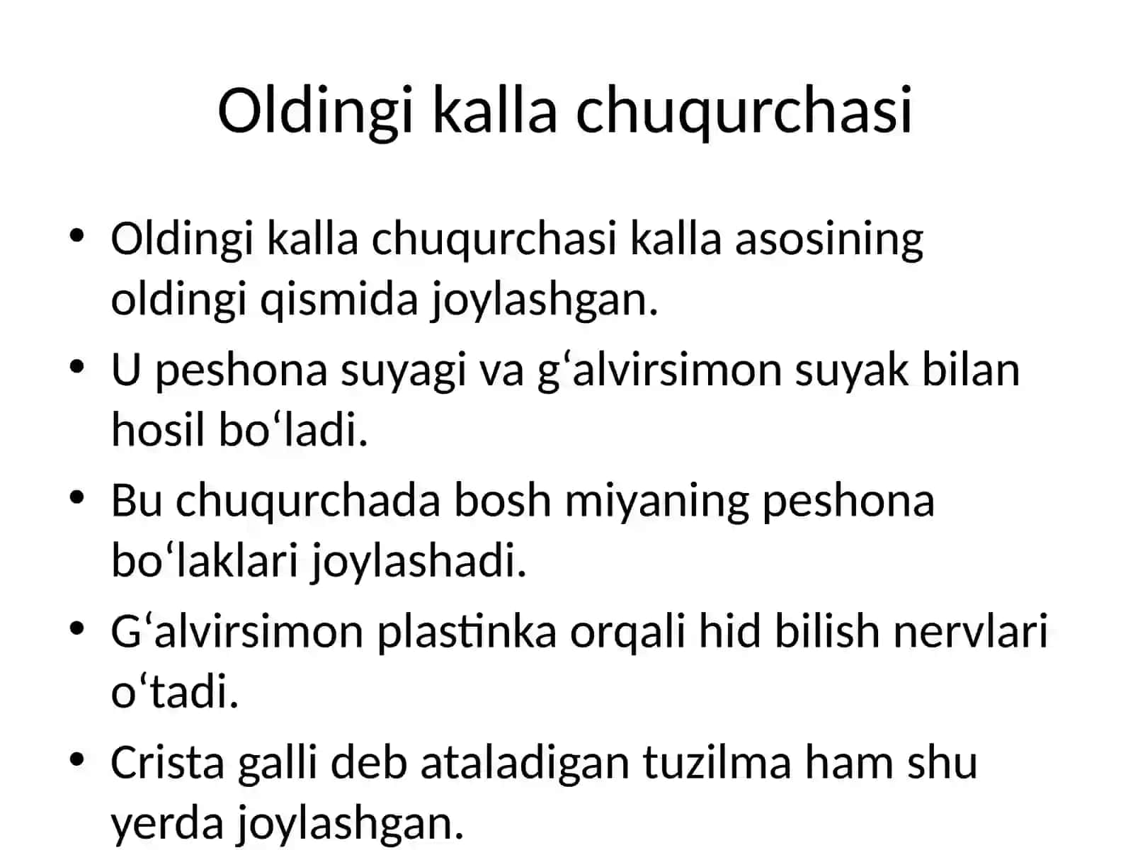 Kalla suyagi asoslari klinik anatomiyasi 3