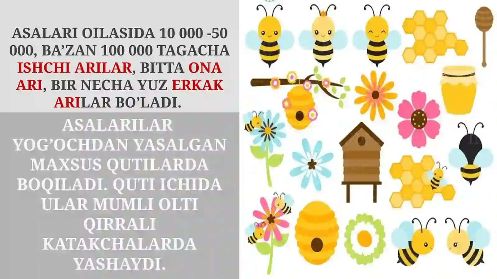 ASALARILAR OILASI 3