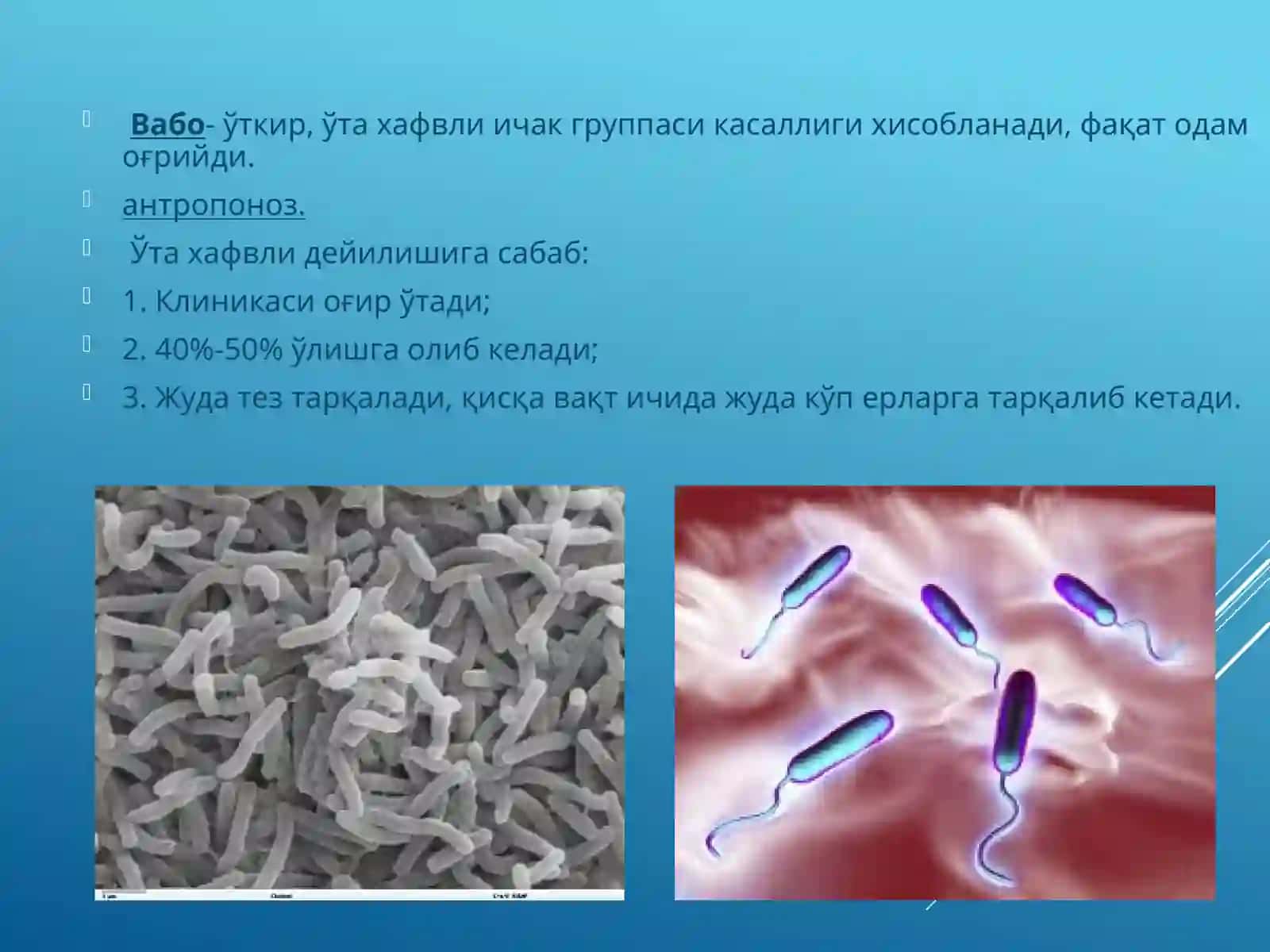 Vabo kasalligining qo’zg’atuvchisi 3
