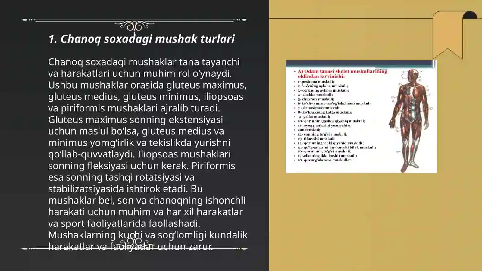 Chanoq soxadagi mushaklar, fastsiyalari 3