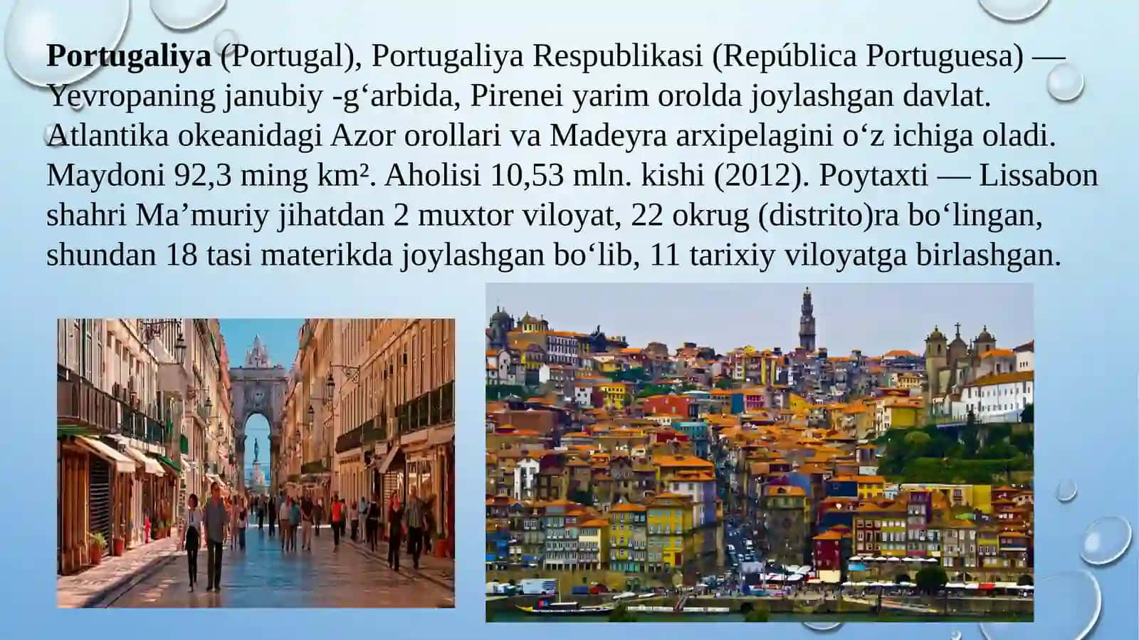 Portugalya davlati va uning ijtimoiy siyosati 3