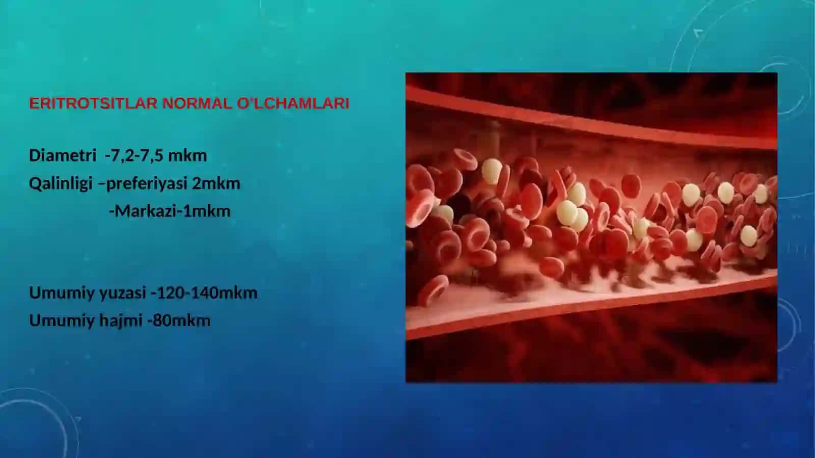 eritrotsitlar turlari va funksiyalari 3