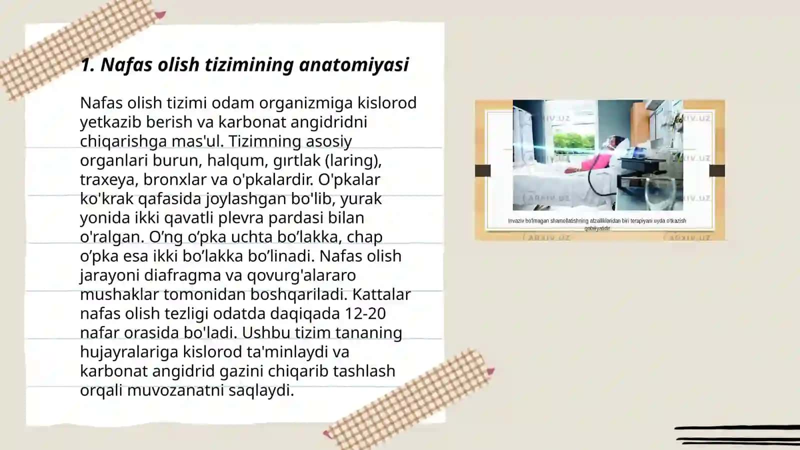 Nafas olish tizimi 3