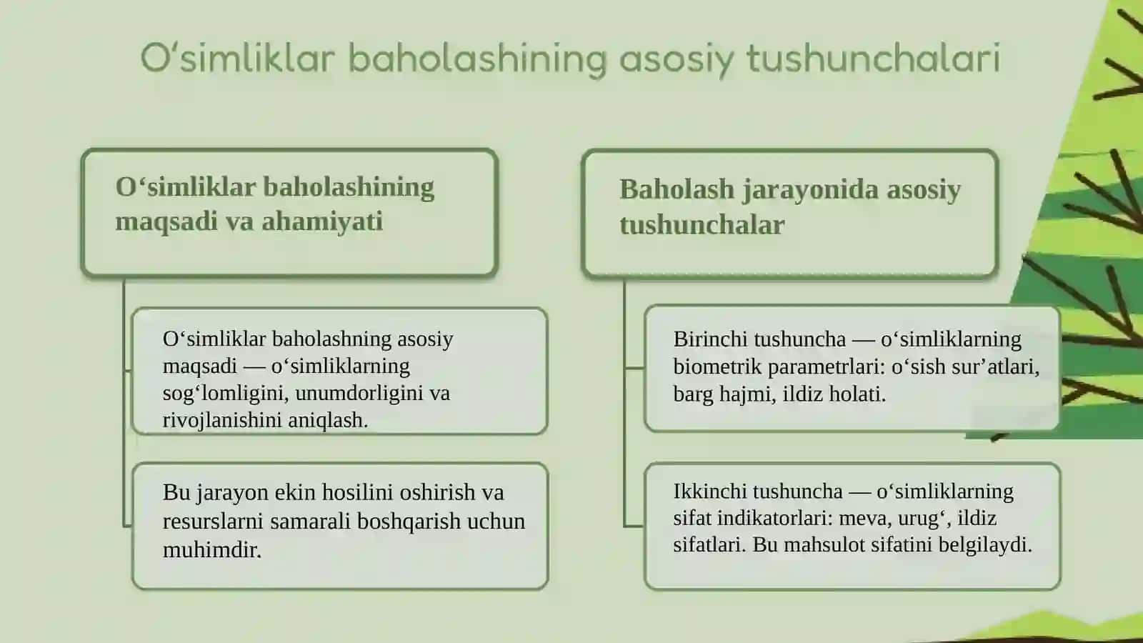 Oʻsimliklar evalutsiyasining asosiy bosqichlari 3