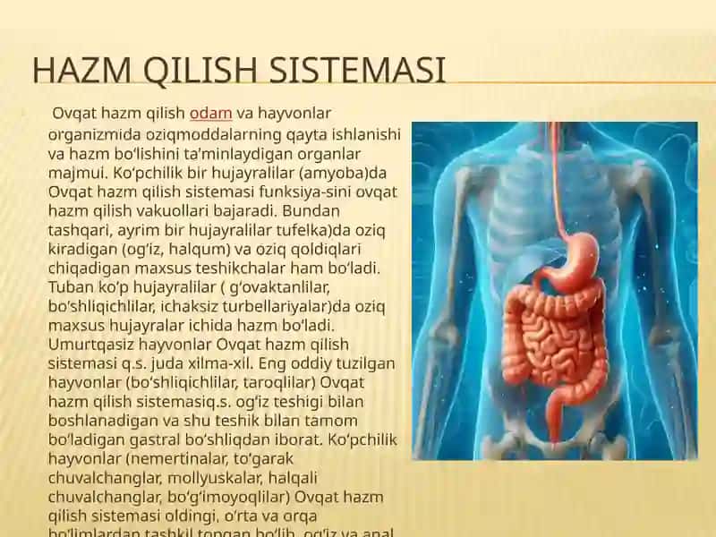 Hazmqilishsistemasivakasalliklar 3