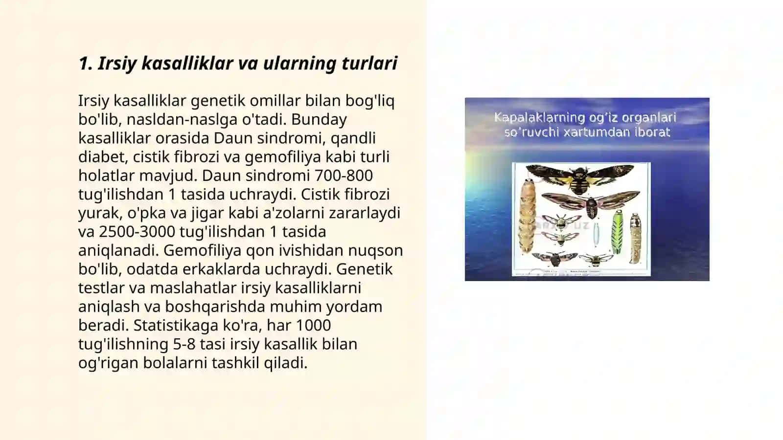 Irsiy patalogiyali bemorlarni sotsial adaptatsiyasi 3