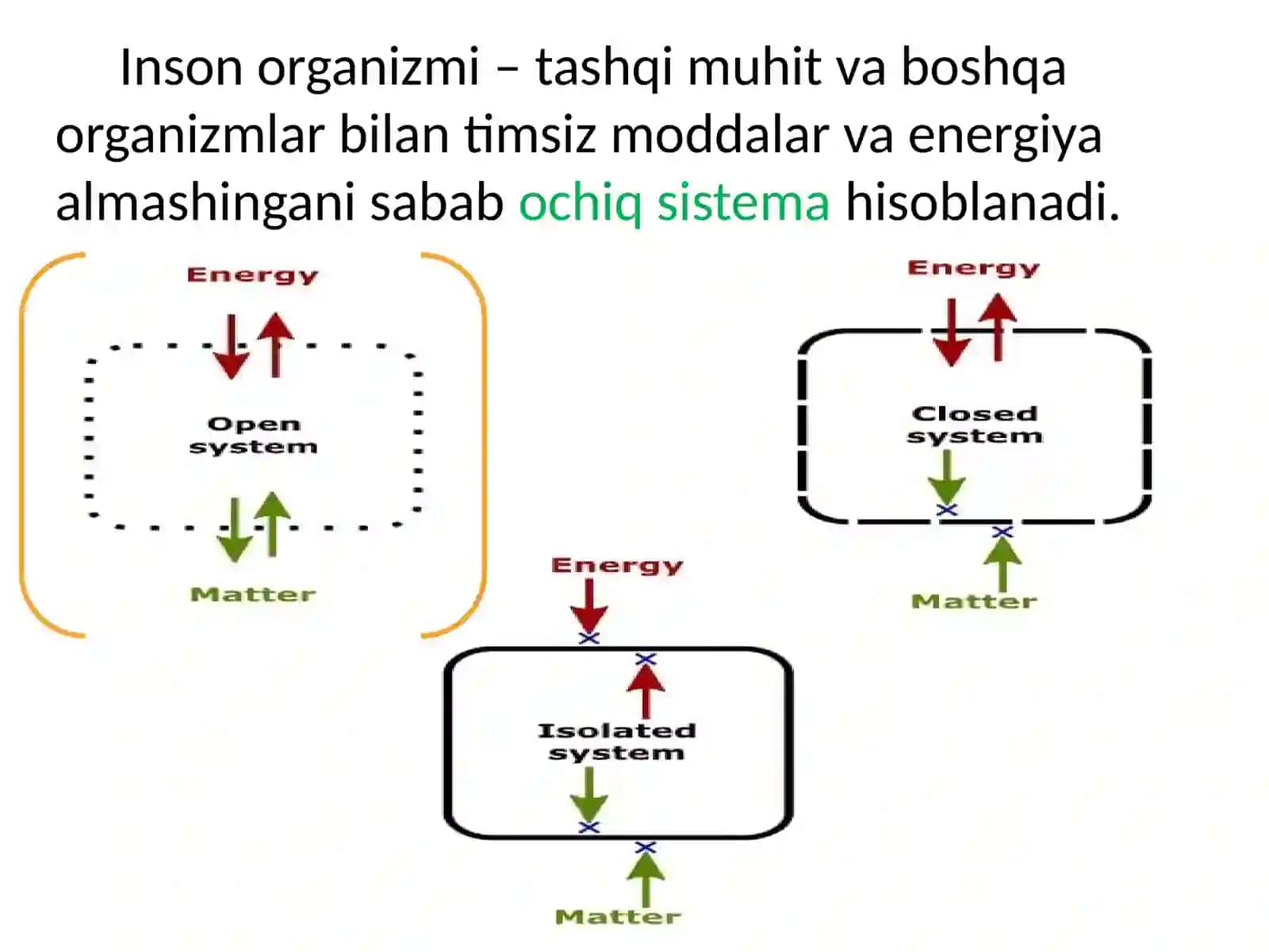 Ichki muhit, qon sistemasiga kirish 3