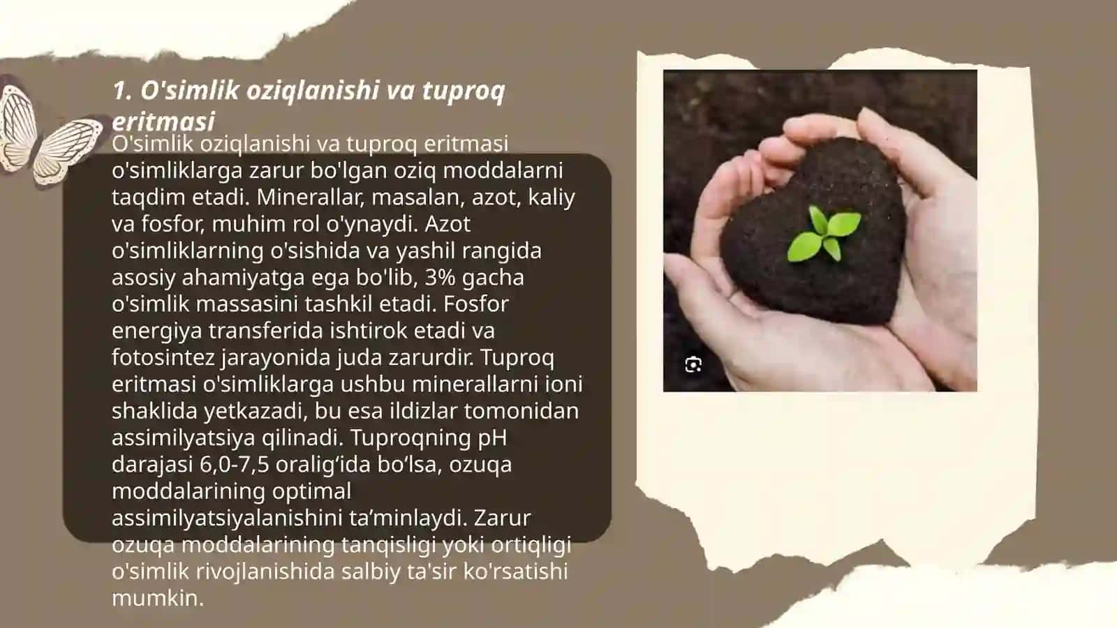 O'simlik oziqlanishi va tuproq eritmasi 3