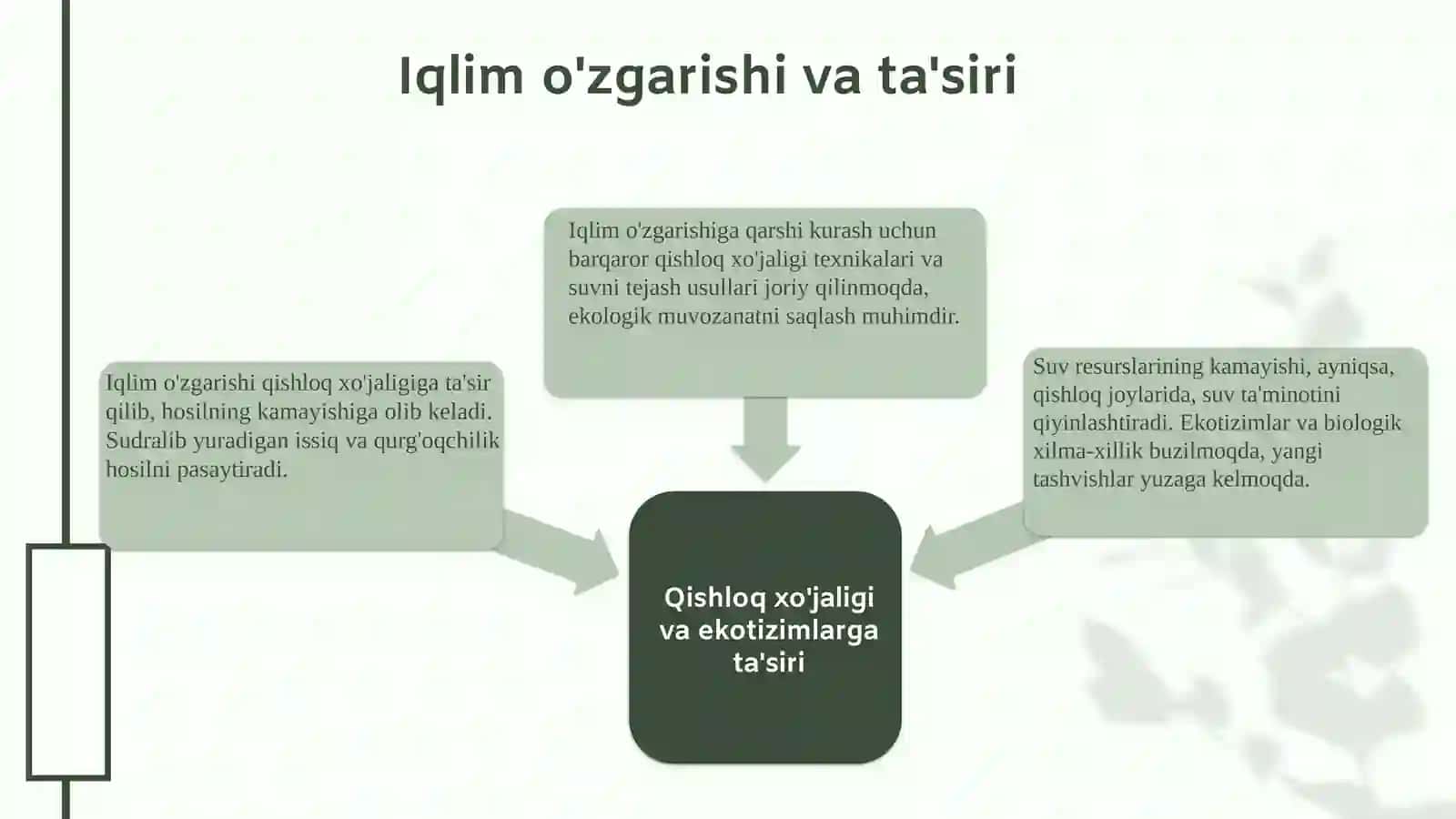 O'zbekistonning ekologik muammolari 3