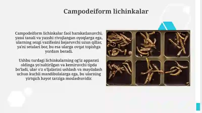 Suvda yashovchi lichinkalar 3