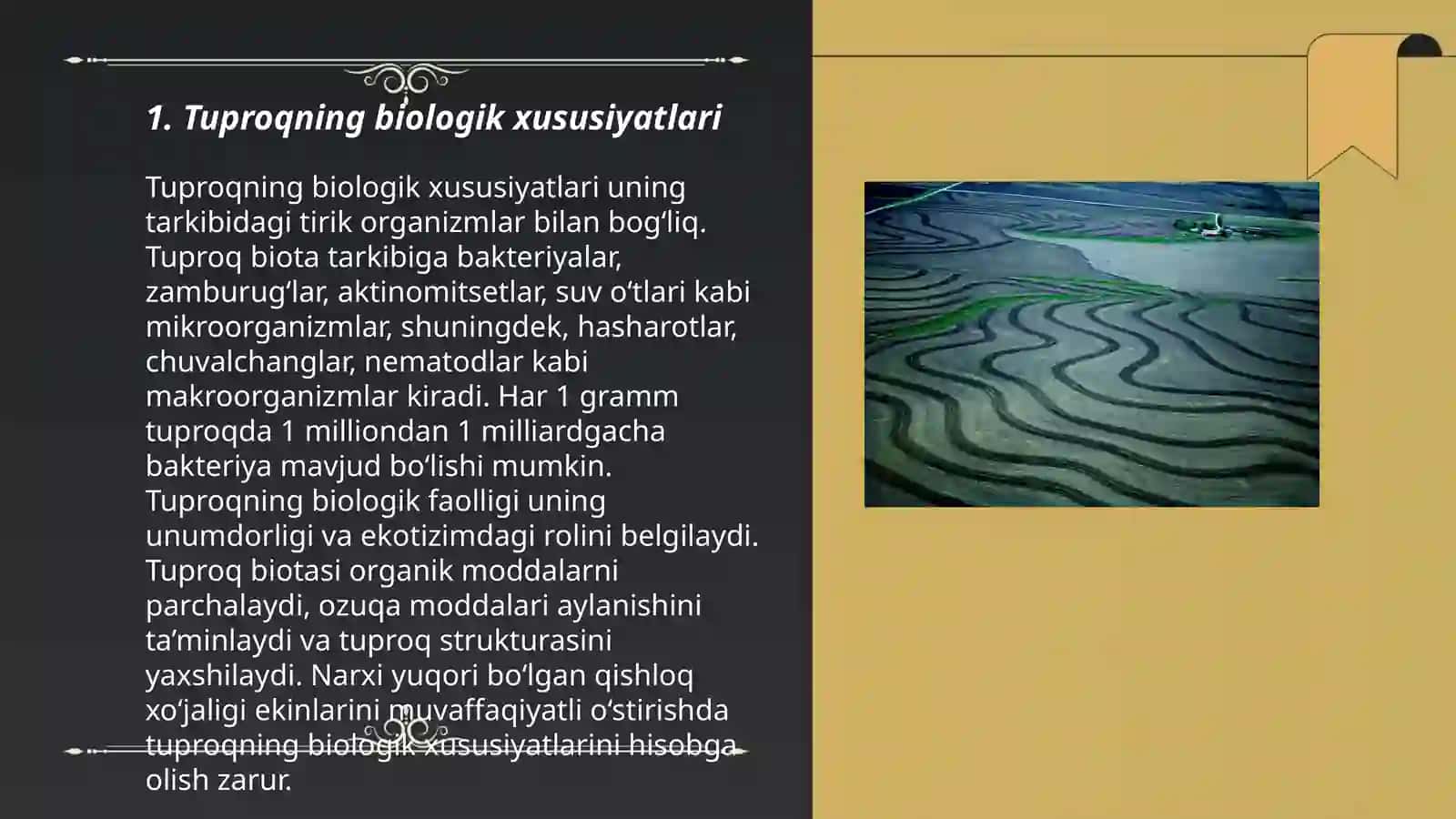 Tuproqning bioenergetik tasnifi 3