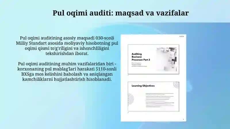 Pul Mablag'lari Harakati Auditi 3
