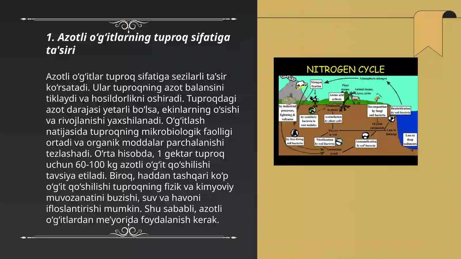 Azotli o‘g‘itlarning ekologik muammolari 3