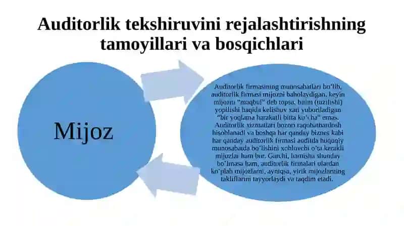 AUDITORLIK TEKSHIRUVINI REJALASHTIRISH 3