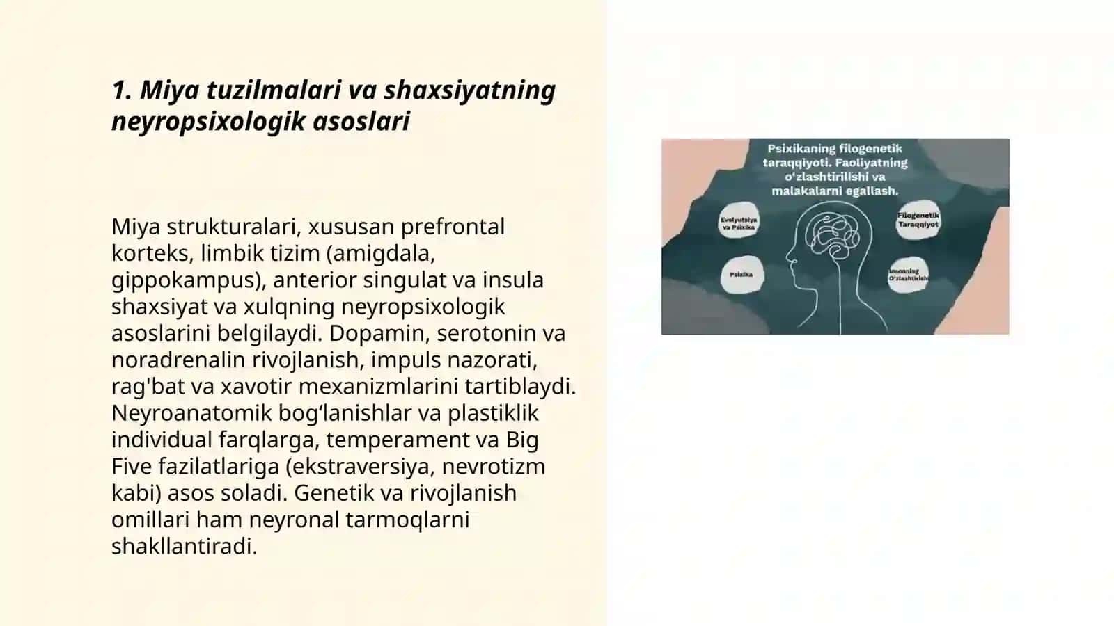 Psixik xususiyat va holatlarining neyropsixologik asoslari 3